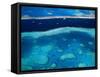 Great Barrier Reef, Whitsundy, Queensland, Australia-Steve Vidler-Framed Stretched Canvas