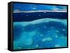 Great Barrier Reef, Whitsundy, Queensland, Australia-Steve Vidler-Framed Stretched Canvas