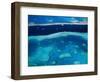 Great Barrier Reef, Whitsundy, Queensland, Australia-Steve Vidler-Framed Photographic Print