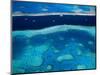 Great Barrier Reef, Whitsundy, Queensland, Australia-Steve Vidler-Mounted Photographic Print