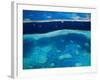 Great Barrier Reef, Whitsundy, Queensland, Australia-Steve Vidler-Framed Photographic Print