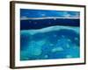 Great Barrier Reef, Whitsundy, Queensland, Australia-Steve Vidler-Framed Photographic Print