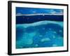 Great Barrier Reef, Whitsundy, Queensland, Australia-Steve Vidler-Framed Photographic Print