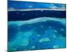 Great Barrier Reef, Whitsundy, Queensland, Australia-Steve Vidler-Mounted Photographic Print