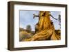 Great Basin Bristlecone Pine (Pinus Longaeva) Trunk Of Ancient Tree-Juan Carlos Munoz-Framed Photographic Print