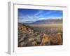 Great Basin Curvilinear Abstract-Style Petroglyphs, Bishop, California, Usa-Dennis Flaherty-Framed Photographic Print