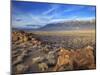 Great Basin Curvilinear Abstract-Style Petroglyphs, Bishop, California, Usa-Dennis Flaherty-Mounted Photographic Print