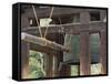 Great Bell of Todai-Ji, Nara, Kansai, Honshu, Japan-Schlenker Jochen-Framed Stretched Canvas