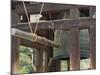 Great Bell of Todai-Ji, Nara, Kansai, Honshu, Japan-Schlenker Jochen-Mounted Photographic Print