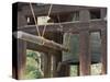Great Bell of Todai-Ji, Nara, Kansai, Honshu, Japan-Schlenker Jochen-Stretched Canvas
