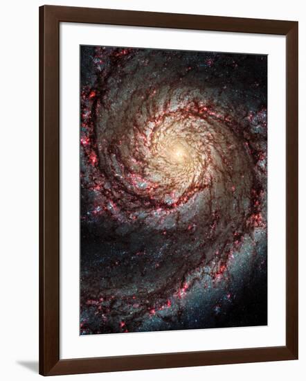 Great Beyond-Wild Apple Portfolio-Framed Art Print