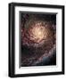 Great Beyond-Wild Apple Portfolio-Framed Art Print