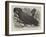 Great Black Cockatoo in the Zoological Society's Gardens-Thomas W. Wood-Framed Giclee Print