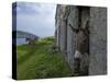 Great Blasket Island-null-Stretched Canvas