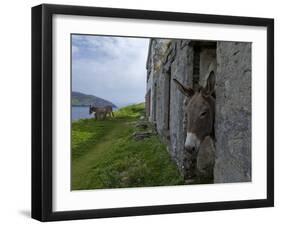 Great Blasket Island-null-Framed Photographic Print