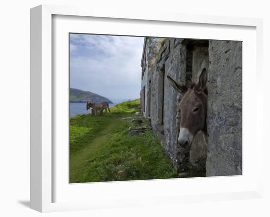 Great Blasket Island-null-Framed Photographic Print