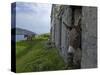 Great Blasket Island-null-Stretched Canvas