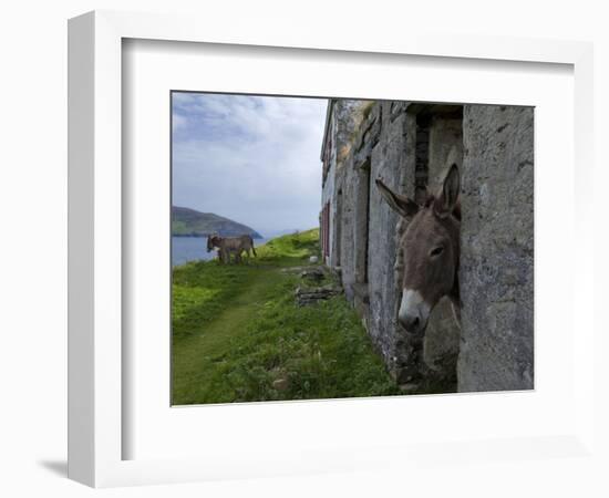 Great Blasket Island-null-Framed Photographic Print