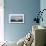 Great Blue At Lakes Edge-Loren Soderberg-Giclee Print displayed on a wall