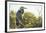 Great Blue Heron (Ardea Herodias) Bird-Richard T. Nowitz-Framed Photographic Print