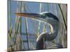 Great Blue Heron, Ardea Herodias, Viera Wetlands, Florida, Usa-Maresa Pryor-Mounted Photographic Print