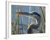 Great Blue Heron, Ardea Herodias, Viera Wetlands, Florida, Usa-Maresa Pryor-Framed Photographic Print