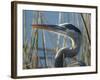 Great Blue Heron, Ardea Herodias, Viera Wetlands, Florida, Usa-Maresa Pryor-Framed Photographic Print