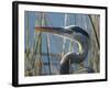 Great Blue Heron, Ardea Herodias, Viera Wetlands, Florida, Usa-Maresa Pryor-Framed Photographic Print