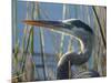 Great Blue Heron, Ardea Herodias, Viera Wetlands, Florida, Usa-Maresa Pryor-Mounted Photographic Print