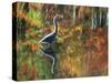 Great Blue Heron in Fall Reflection, Adirondacks, New York, USA-Nancy Rotenberg-Stretched Canvas