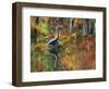 Great Blue Heron in Fall Reflection, Adirondacks, New York, USA-Nancy Rotenberg-Framed Photographic Print