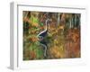 Great Blue Heron in Fall Reflection, Adirondacks, New York, USA-Nancy Rotenberg-Framed Photographic Print