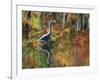Great Blue Heron in Fall Reflection, Adirondacks, New York, USA-Nancy Rotenberg-Framed Photographic Print