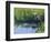 Great Blue Heron in Taylor Slough, Everglades, Florida, USA-Adam Jones-Framed Photographic Print