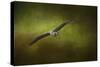 Great Blue Heron in the Grove-Jai Johnson-Stretched Canvas