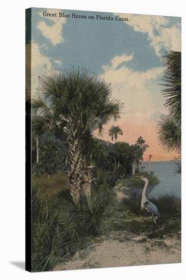 Great Blue Heron on Florida Coast Beach - Florida-Lantern Press-Stretched Canvas