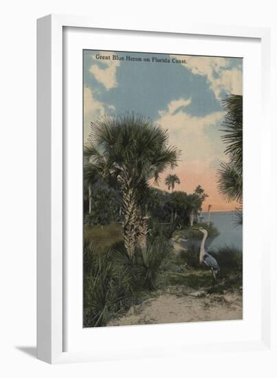 Great Blue Heron on Florida Coast Beach - Florida-Lantern Press-Framed Art Print