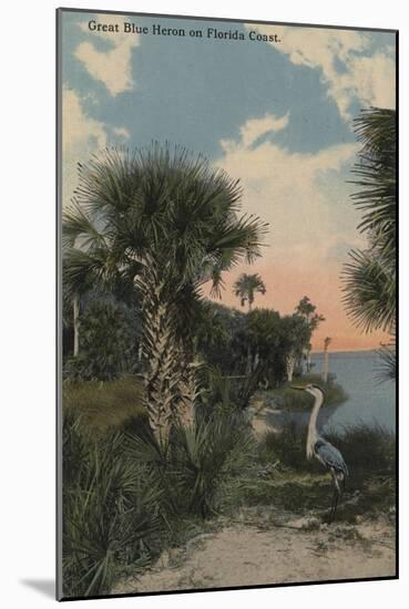 Great Blue Heron on Florida Coast Beach - Florida-Lantern Press-Mounted Art Print