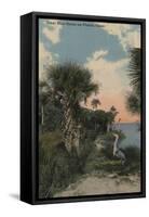 Great Blue Heron on Florida Coast Beach - Florida-Lantern Press-Framed Stretched Canvas