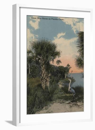 Great Blue Heron on Florida Coast Beach - Florida-Lantern Press-Framed Art Print