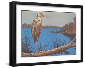 Great Blue Heron Perched on Log-null-Framed Art Print