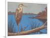 Great Blue Heron Perched on Log-null-Framed Art Print