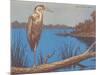 Great Blue Heron Perched on Log-null-Mounted Art Print