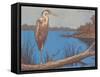 Great Blue Heron Perched on Log-null-Framed Stretched Canvas