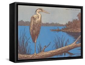 Great Blue Heron Perched on Log-null-Framed Stretched Canvas