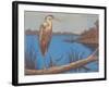 Great Blue Heron Perched on Log-null-Framed Art Print