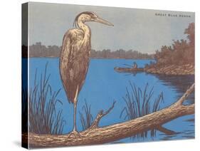 Great Blue Heron Perched on Log-null-Stretched Canvas