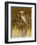Great Blue Heron Standing in Salt Marsh on the Laguna Madre at South Padre Island, Texas, USA-Larry Ditto-Framed Photographic Print