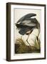 Great Blue Heron-John James Audubon-Framed Giclee Print