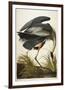 Great Blue Heron-John James Audubon-Framed Giclee Print